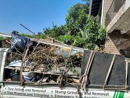 Best Attic Cleanout  in Montague, MI